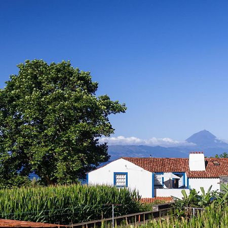 Casas Dos Vimes Villa Faja dos Vimes Exterior foto