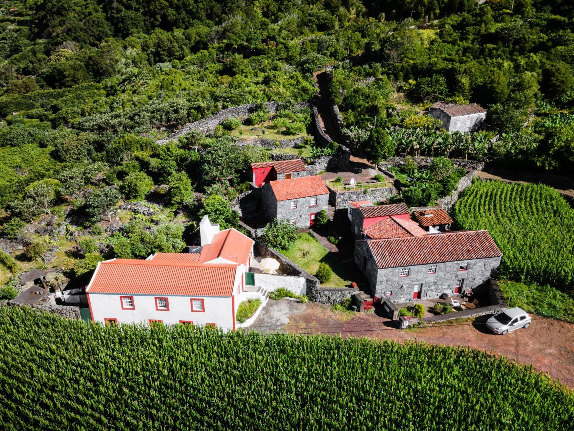 Casas Dos Vimes Villa Faja dos Vimes Exterior foto